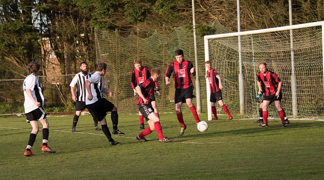 洲豪门关注 洲豪门关注