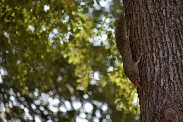 通过运用实 通过运用实
