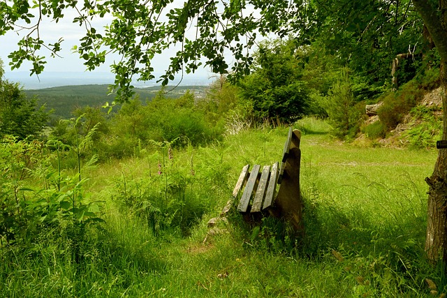 取得了一些 取得了一些