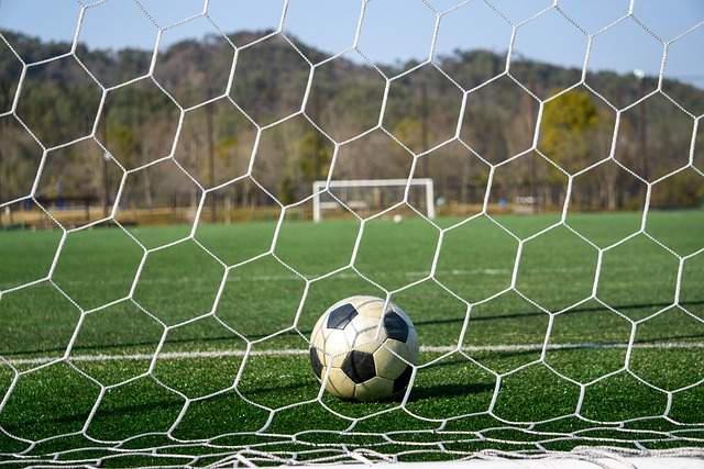 能违背了自 能违背了自